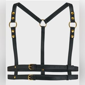 Killstar Wanda Black Harness with Gold Hardware
